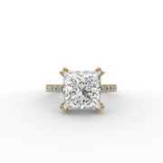3.55tcw Princess Lab Grown Diamond Double Prong With Channel Pave Set Engagement Ring  | IGI Certified |